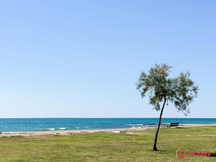 El Jardin Apartment Oropesa del Mar Exterior photo
